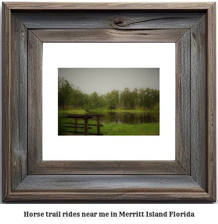 horse trail rides near me in Merritt Island, Florida